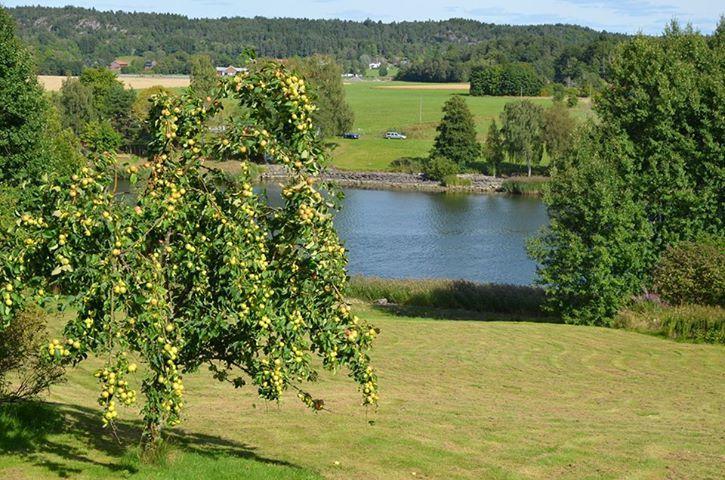 Älvbacken Hotell Västerlanda Exteriör bild